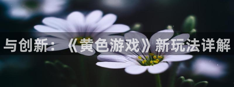 与创新：《黄色游戏》新玩法详解