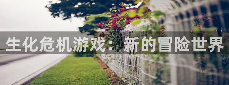 生化危机游戏：新的冒险世界