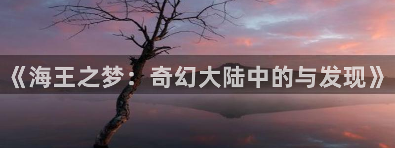 K8凯发包网系统