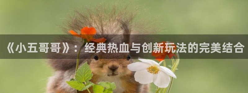 k8凯发是做什么的