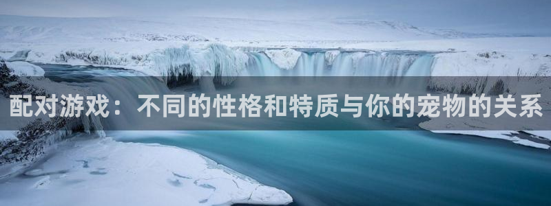k8凯发中国天生赢家·一触即发k8743：配对游戏：不同的性
