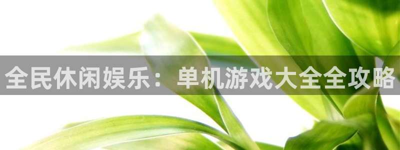 K8凯发 引领业界