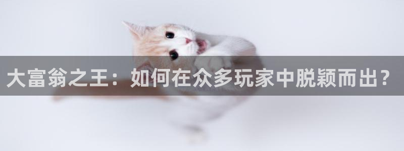 k8凯发官网app下载：大富翁之王：如何在众多玩家中脱颖而出