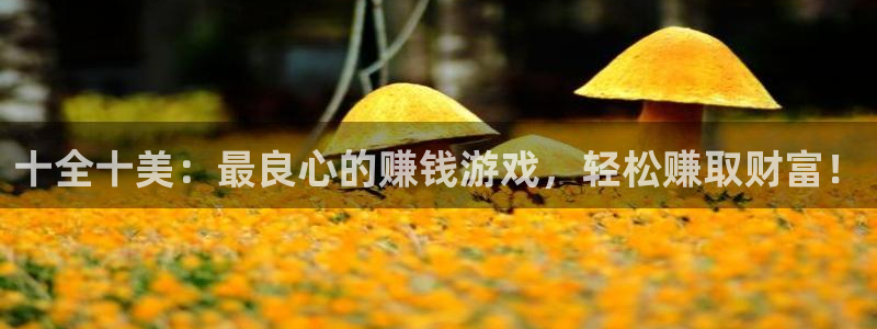 k8凯发·体育(中国)天生赢家