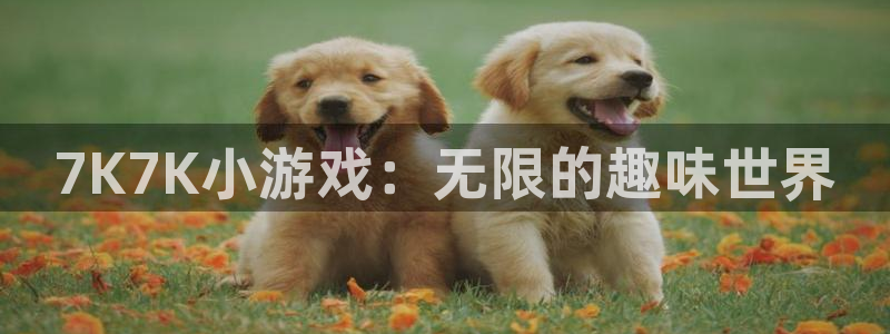 ks8凯发注册平台免费下载